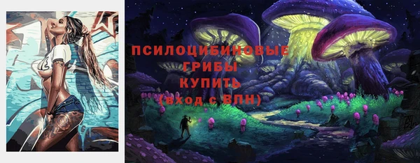 гидропоника Арсеньев