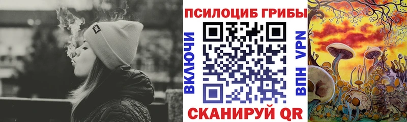 darknet формула  Бахчисарай  Псилоцибиновые грибы GOLDEN TEACHER 